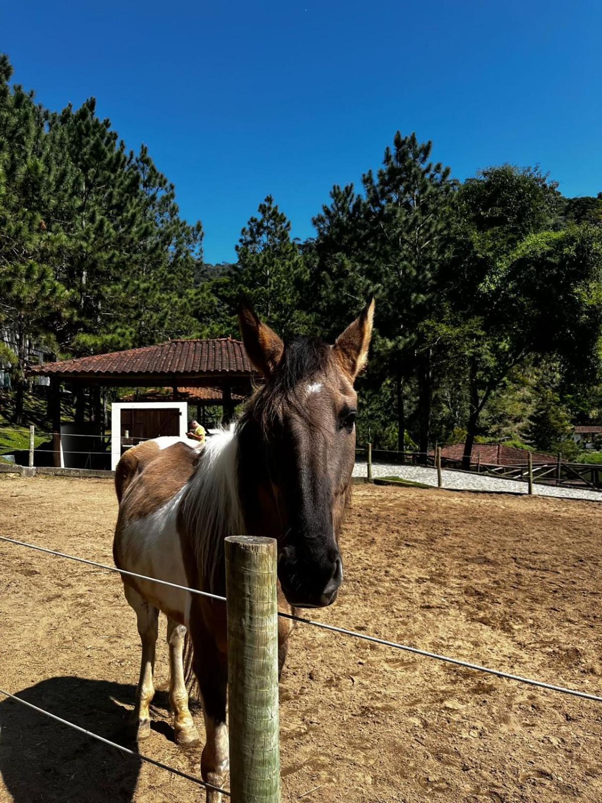 Fazenda Suica Le Canton Teresópolis Εξωτερικό φωτογραφία